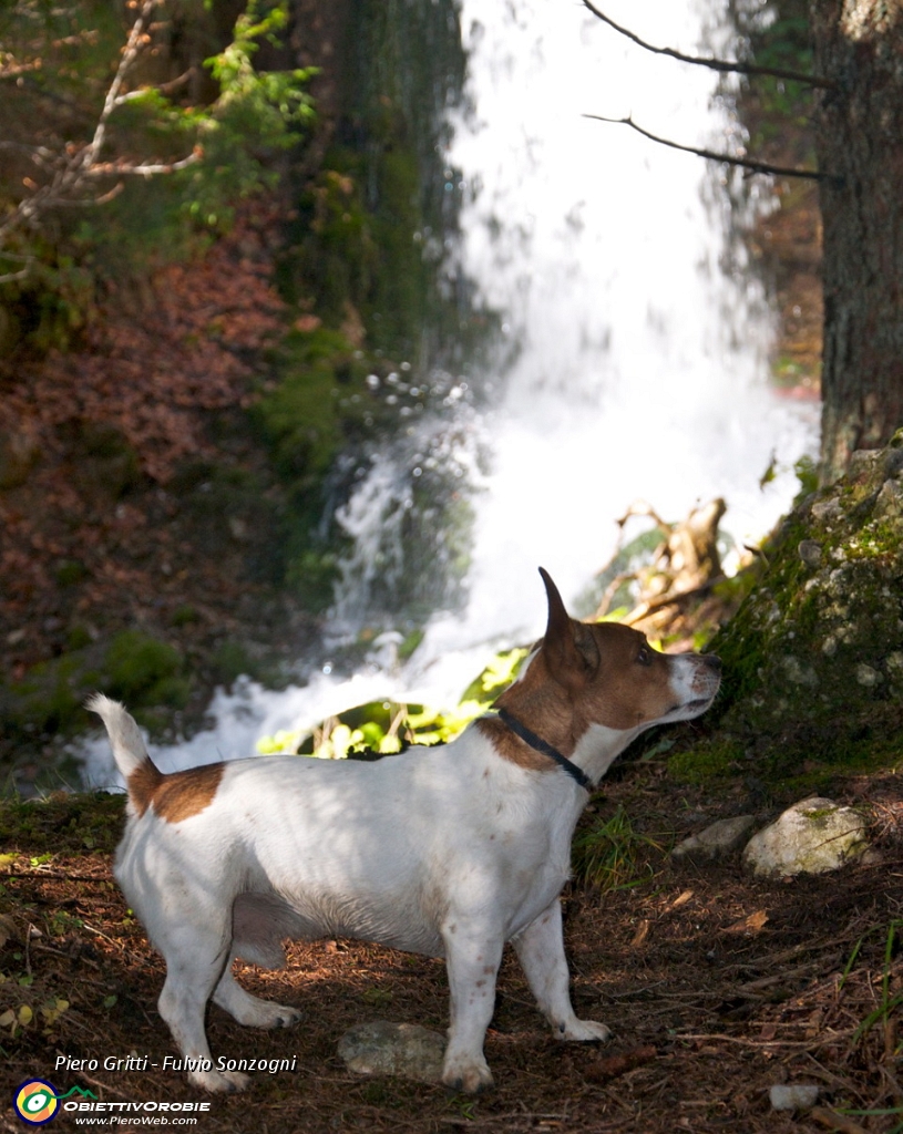 14 Cascata di Lovareno - foto Fulvio.jpg